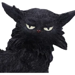 Nemesis Now Salem Witches Cat