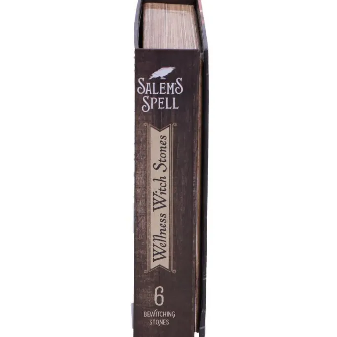Nemesis Now Salem's Spell Kit