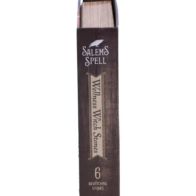 Nemesis Now Salem's Spell Kit