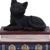 Nemesis Now Salems Spells Cat Box