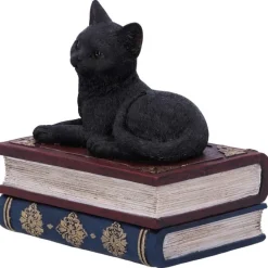 Nemesis Now Salems Spells Cat Box