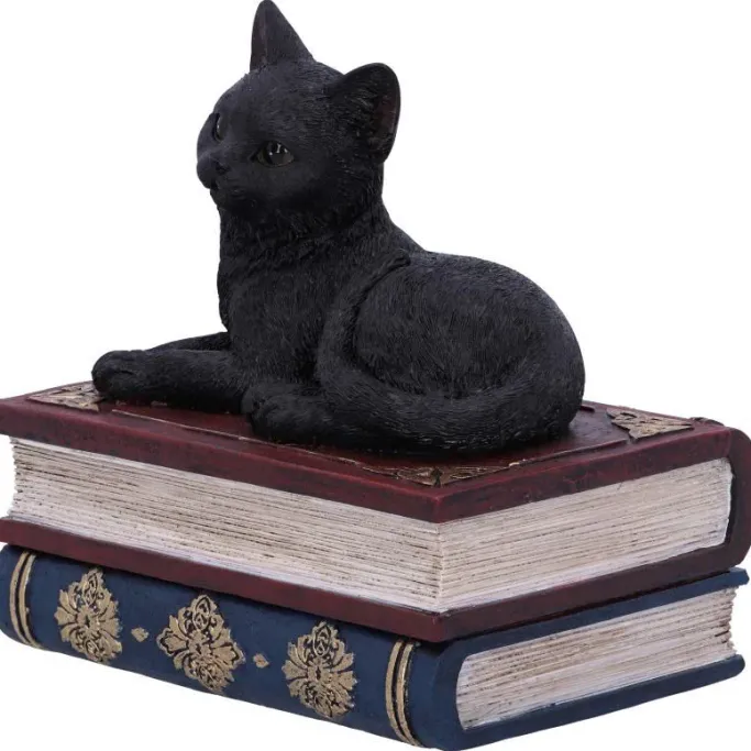 Nemesis Now Salems Spells Cat Box