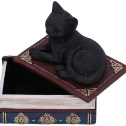 Nemesis Now Salems Spells Cat Box