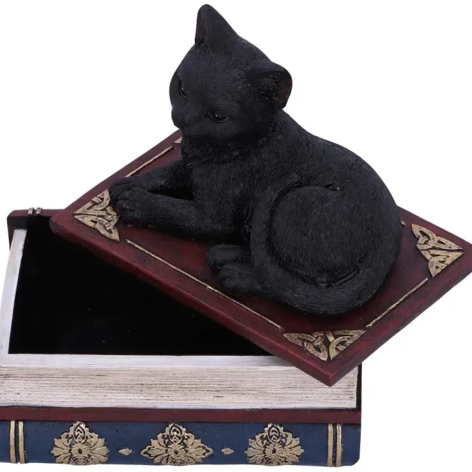 Nemesis Now Salems Spells Cat Box