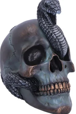 Nemesis Now Serpentine Fate Skull