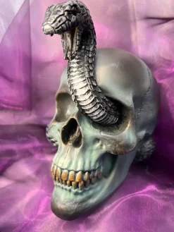 Nemesis Now Serpentine Fate Skull