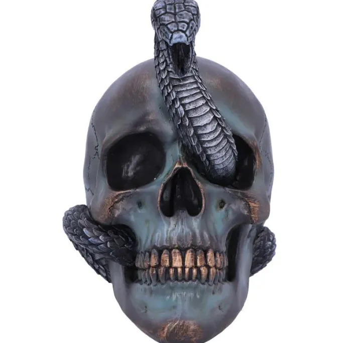 Nemesis Now Serpentine Fate Skull