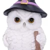 Nemesis Now Snowy Magic Witch Owl