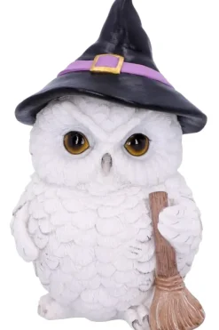 Nemesis Now Snowy Magic Witch Owl