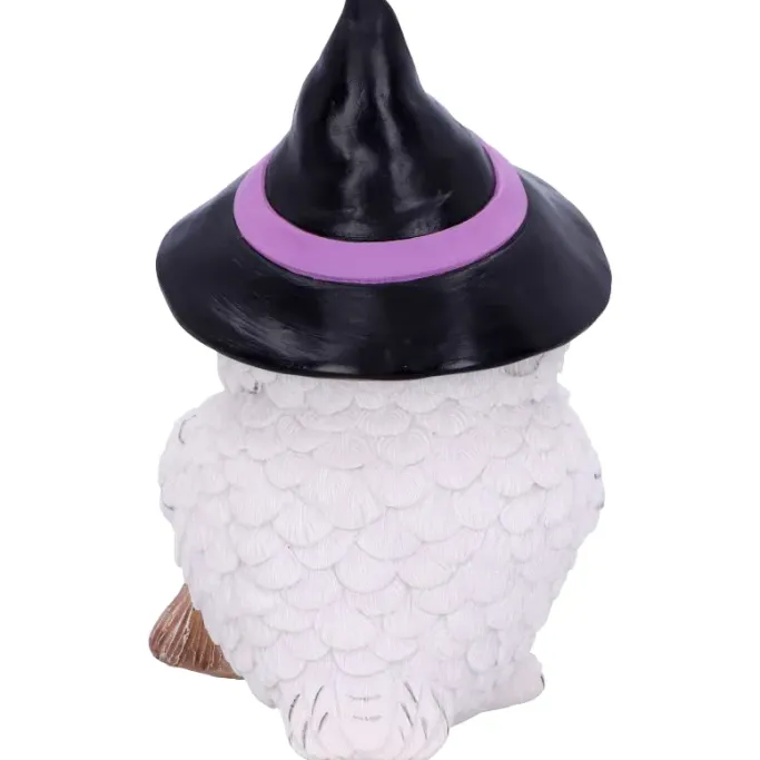 Nemesis Now Snowy Magic Witch Owl