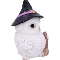 Nemesis Now Snowy Magic Witch Owl