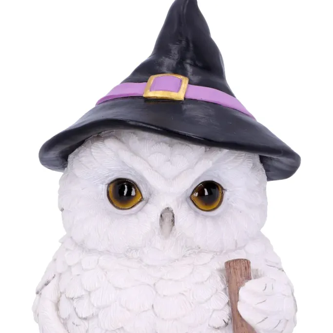 Nemesis Now Snowy Magic Witch Owl
