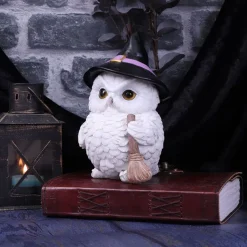 Nemesis Now Snowy Magic Witch Owl