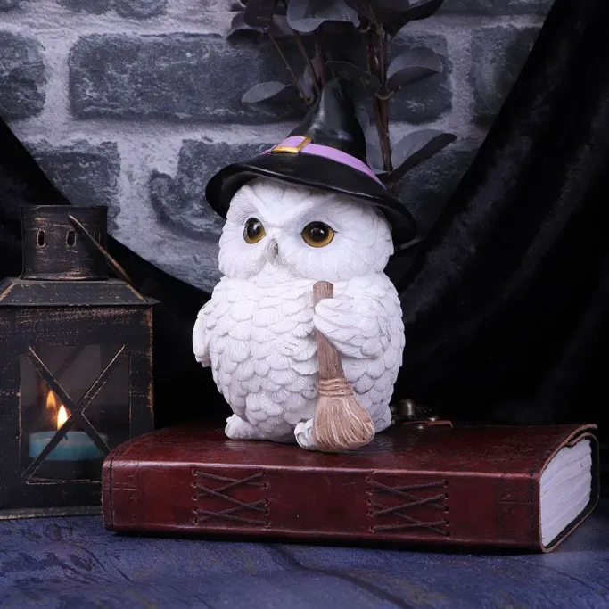 Nemesis Now Snowy Magic Witch Owl