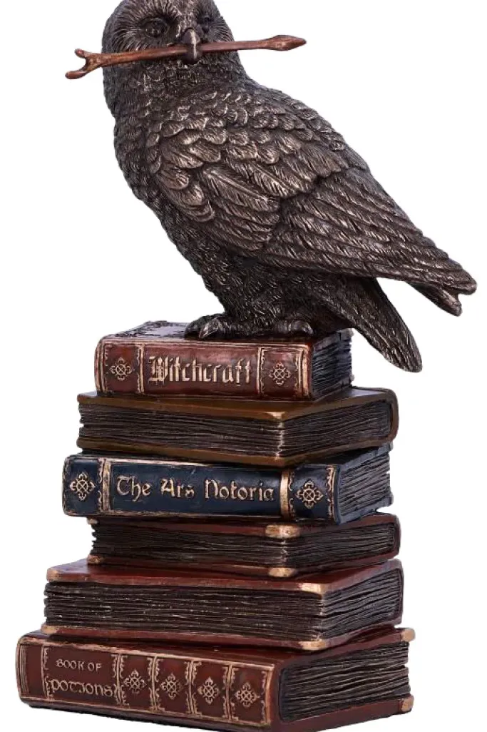 Nemesis Now Spellcraft Wizard Owl