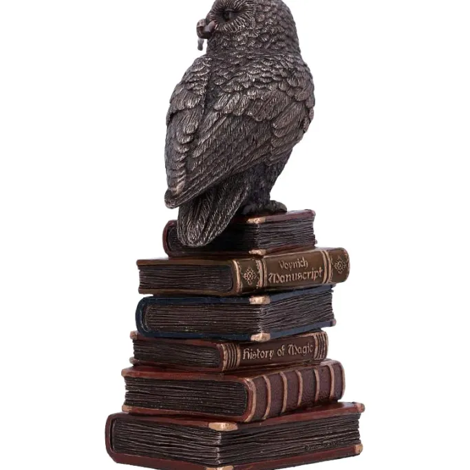 Nemesis Now Spellcraft Wizard Owl