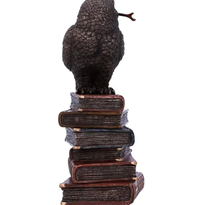 Nemesis Now Spellcraft Wizard Owl
