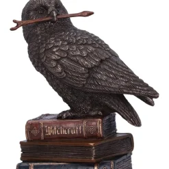 Nemesis Now Spellcraft Wizard Owl