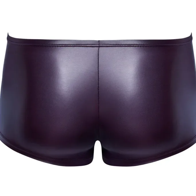 Svenjoyment Purple Pants