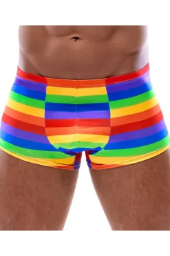Svenjoyment Rainbow Boxer Briefs