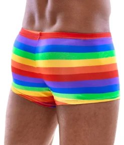 Svenjoyment Rainbow Boxer Briefs