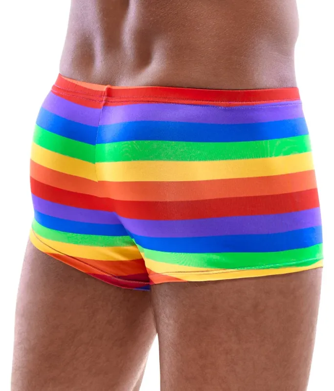 Svenjoyment Rainbow Boxer Briefs