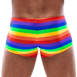 Svenjoyment Rainbow Boxer Briefs
