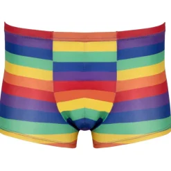 Svenjoyment Rainbow Boxer Briefs