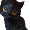 Nemesis Now The Witches Litter - Cat 7