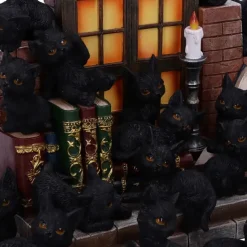 Nemesis Now The Witches Litter Set of 12 Cats