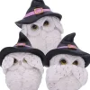 Nemesis Now Three Wise Feathered Familiars Owls
