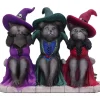 Nemesis Now Three Wise Witchy Kittys