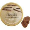 Something Different Toucan Gifts Cinnamon Eco Soy Wax Melts