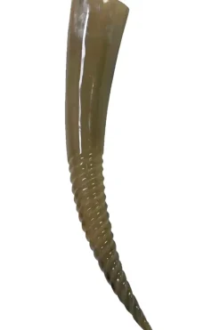 Angel Clothing Viking Drinking Ridged Horn with Stand