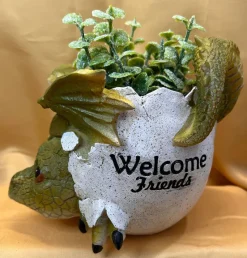 Nemesis Now Welcome Friends Baby Dragon Pot