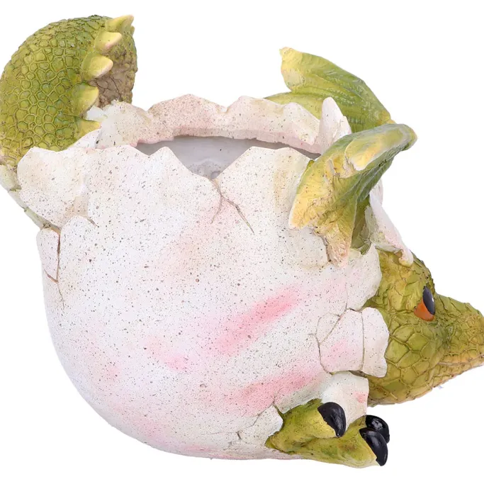 Nemesis Now Welcome Friends Baby Dragon Pot