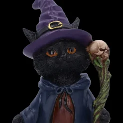 Nemesis Now Whiskered Wizard Black Cat