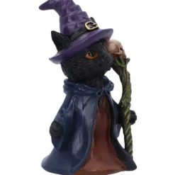 Nemesis Now Whiskered Wizard Black Cat
