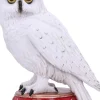 Nemesis Now Wizard's Familiar Owl Figurine