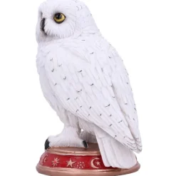 Nemesis Now Wizard's Familiar Owl Figurine