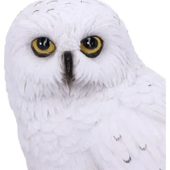 Nemesis Now Wizard's Familiar Owl Figurine