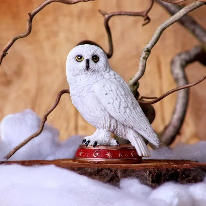 Nemesis Now Wizard's Familiar Owl Figurine